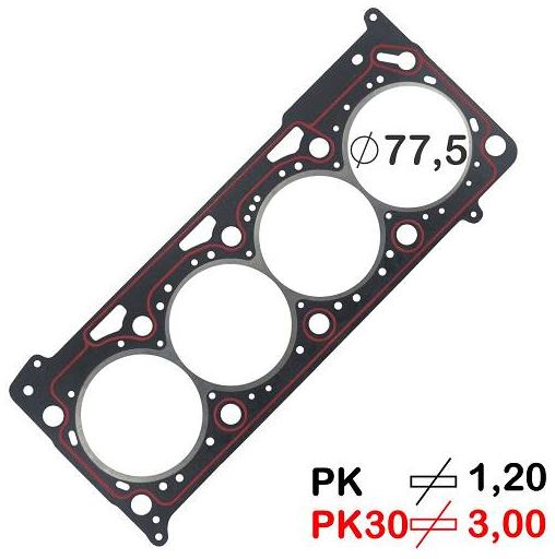 111595PK30