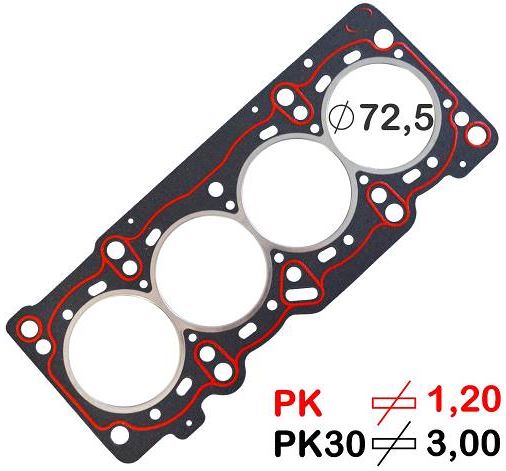 141579PK
